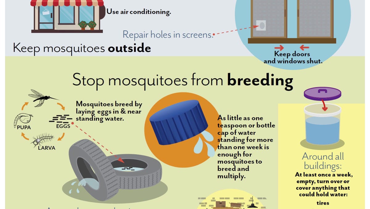 Insect Bites And Protection