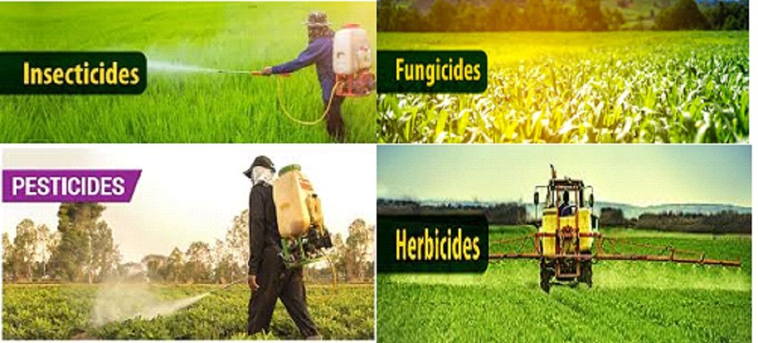 Insecticides And Fungicides