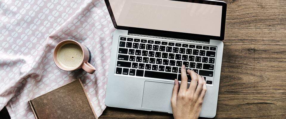 What is a canonical url? What does a canonical url look like?